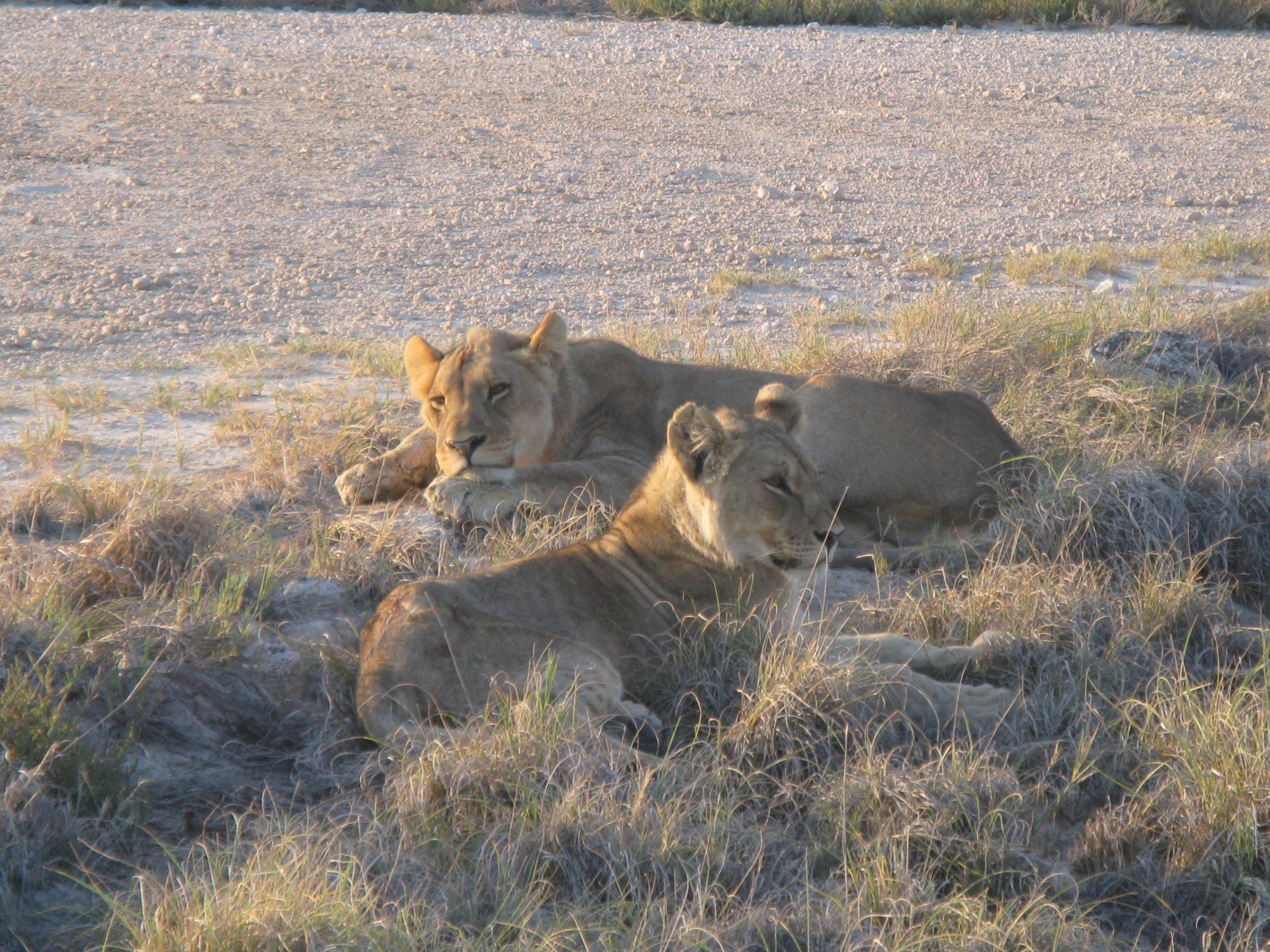 Namibia