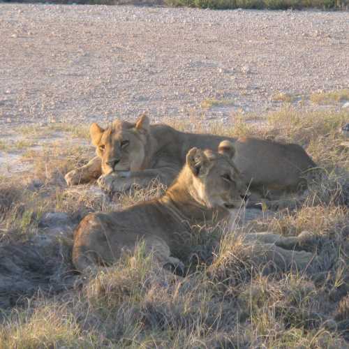 Namibia