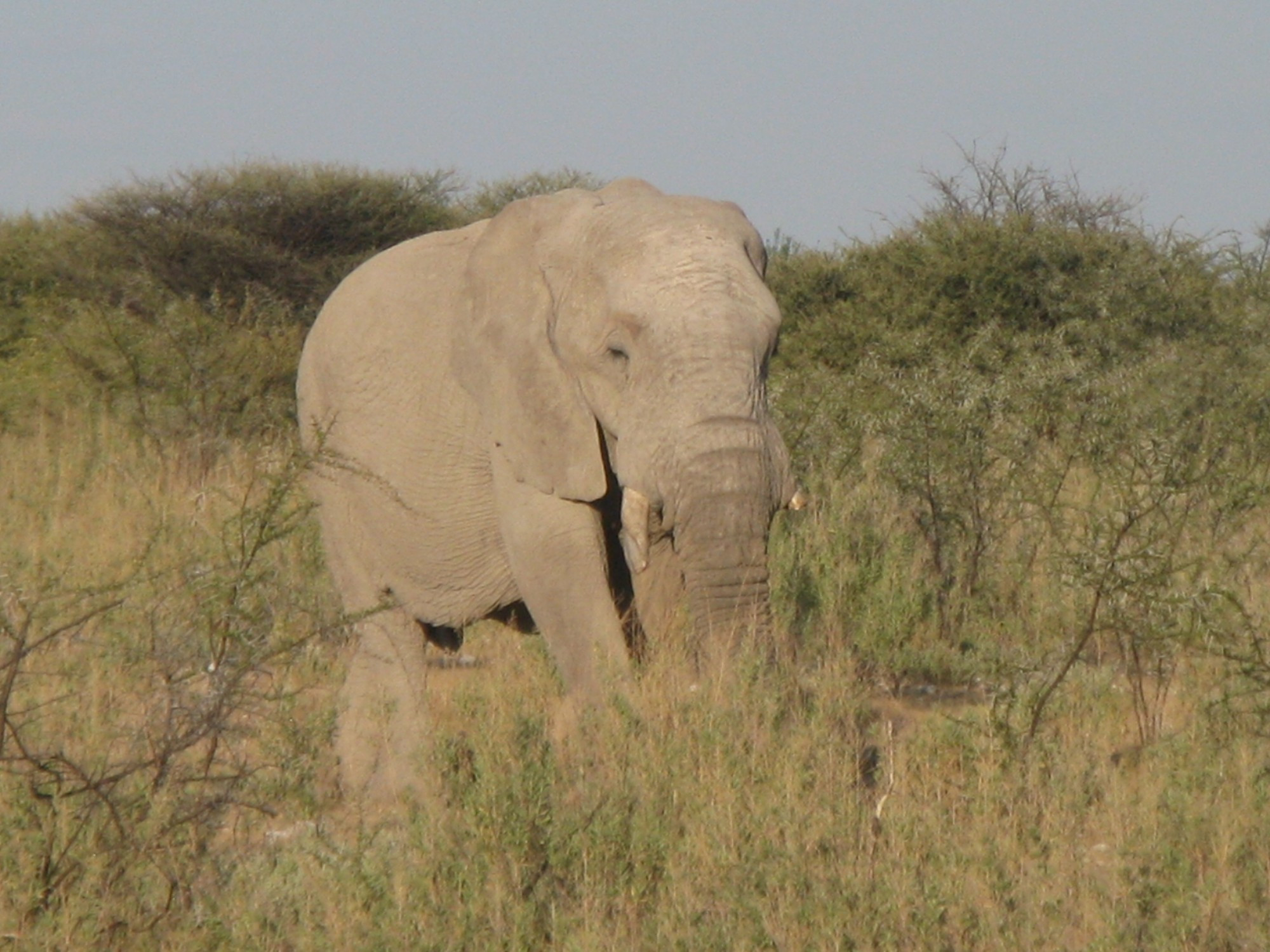 Namibia