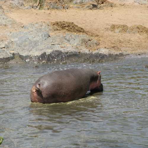 Tanzania