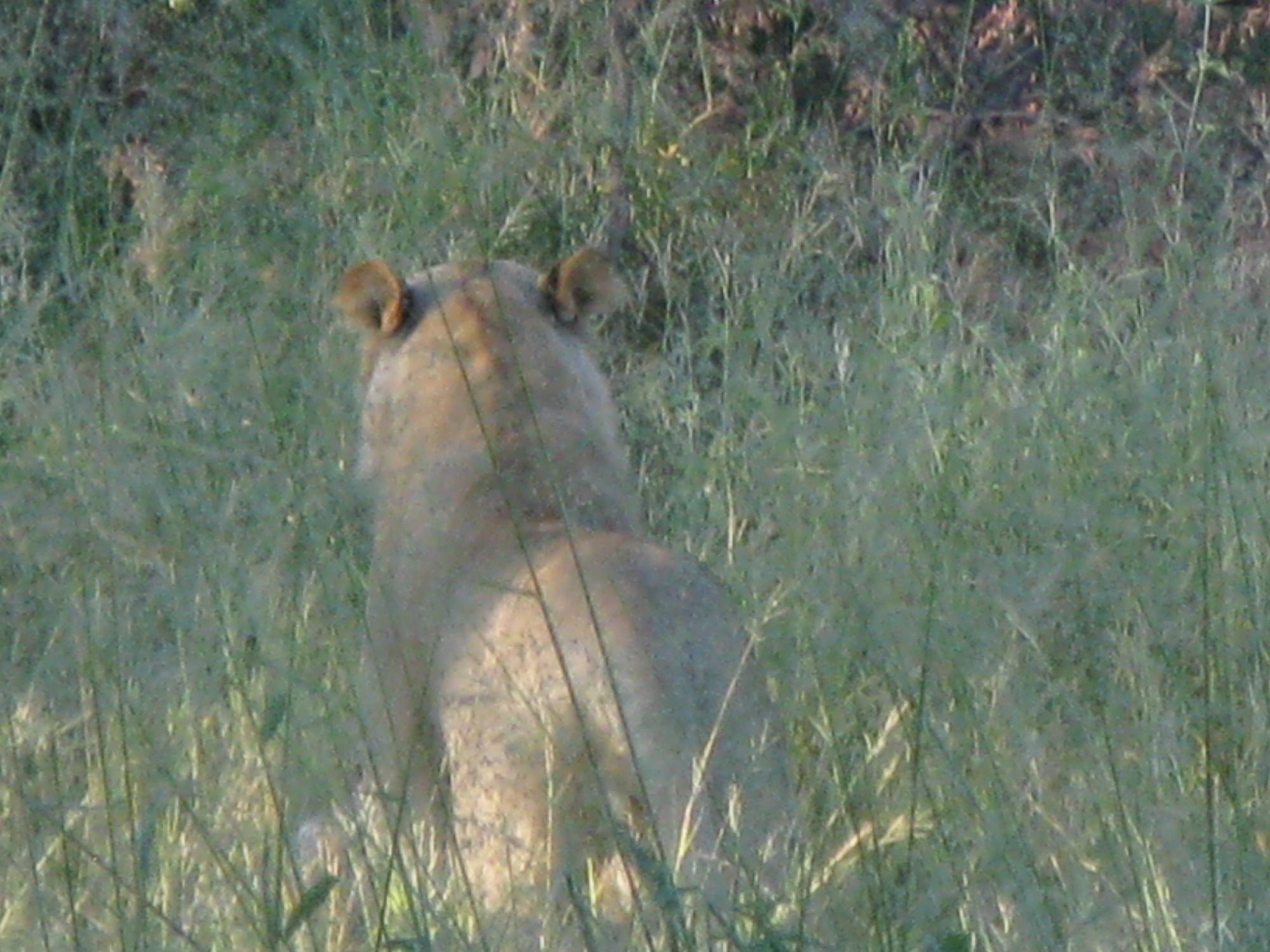 Botswana