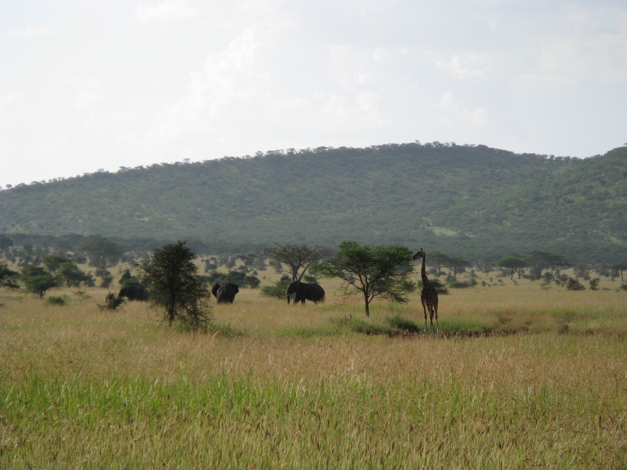 Tanzania