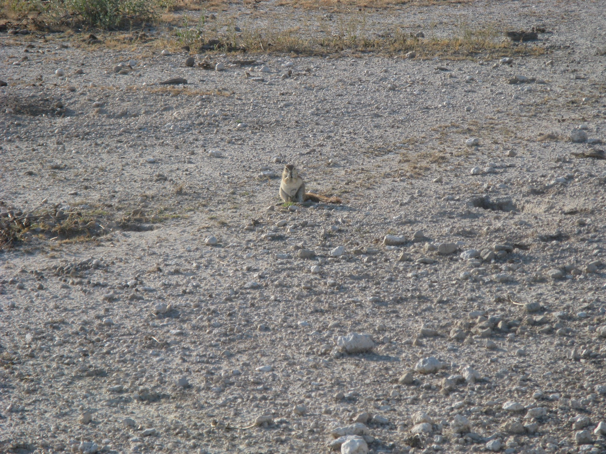 Namibia