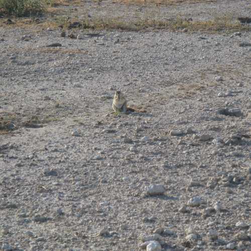 Namibia