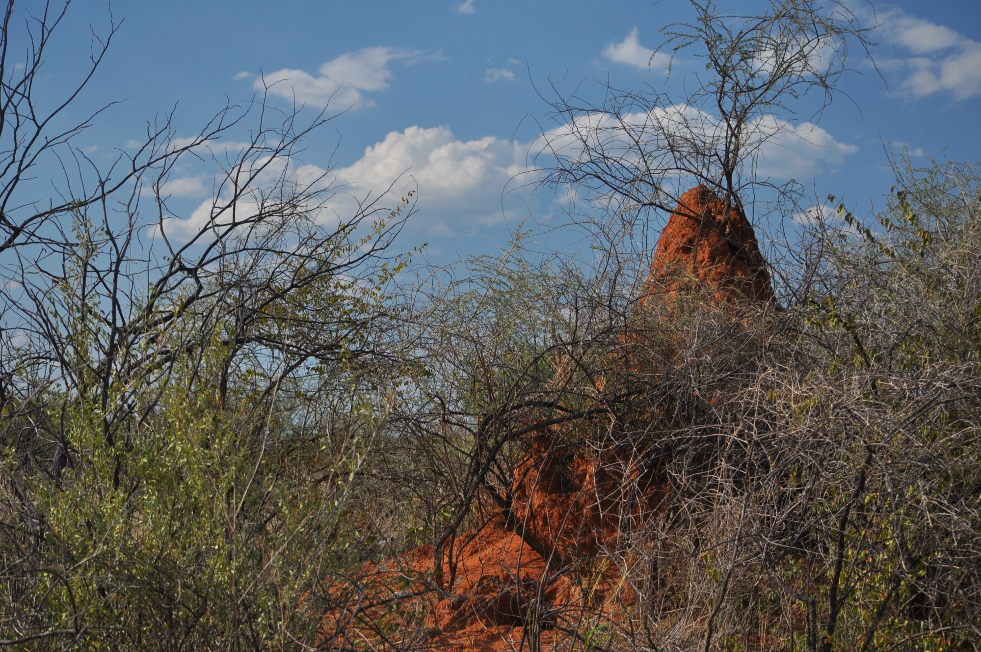 Namibia