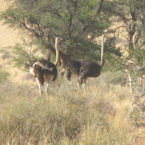 Namibia