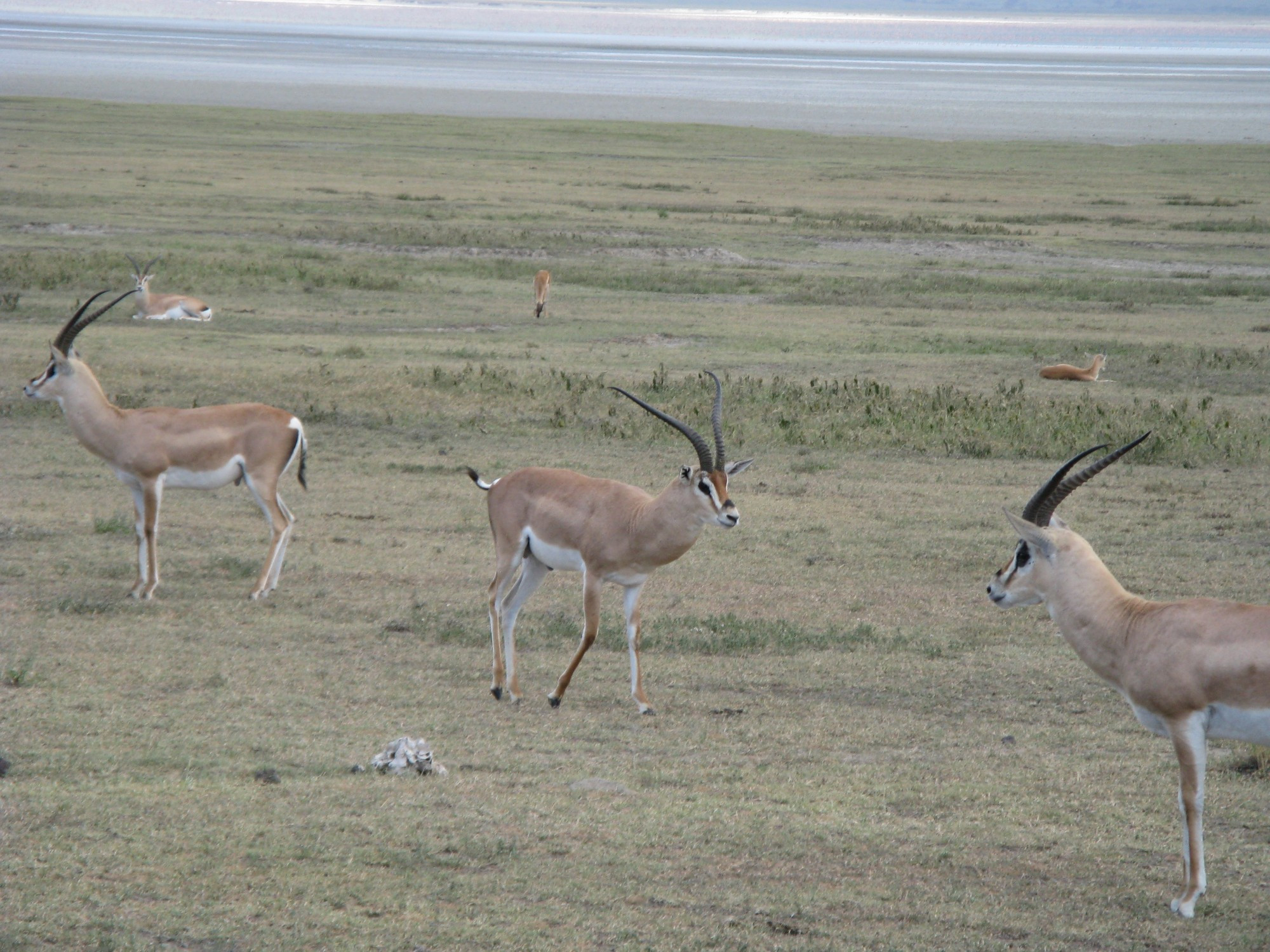 Tanzania