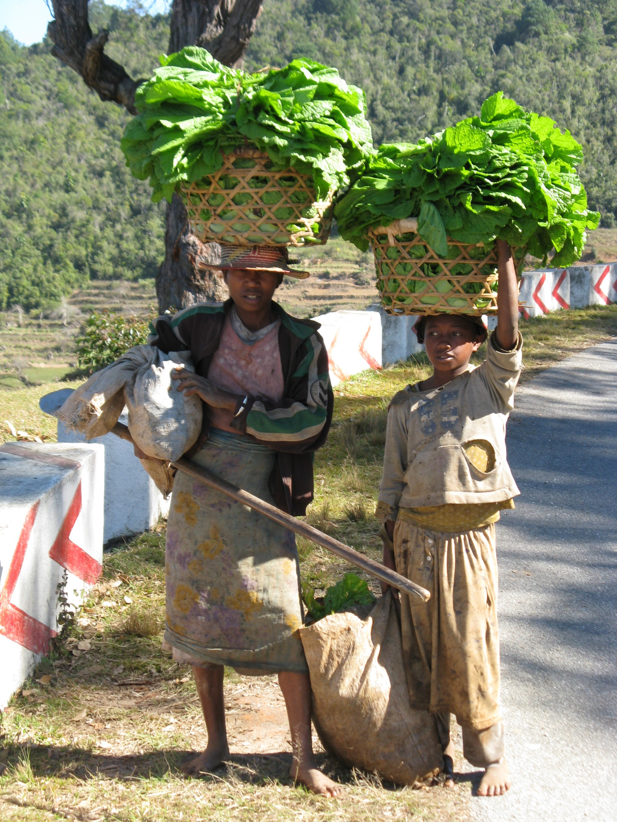 Madagascar