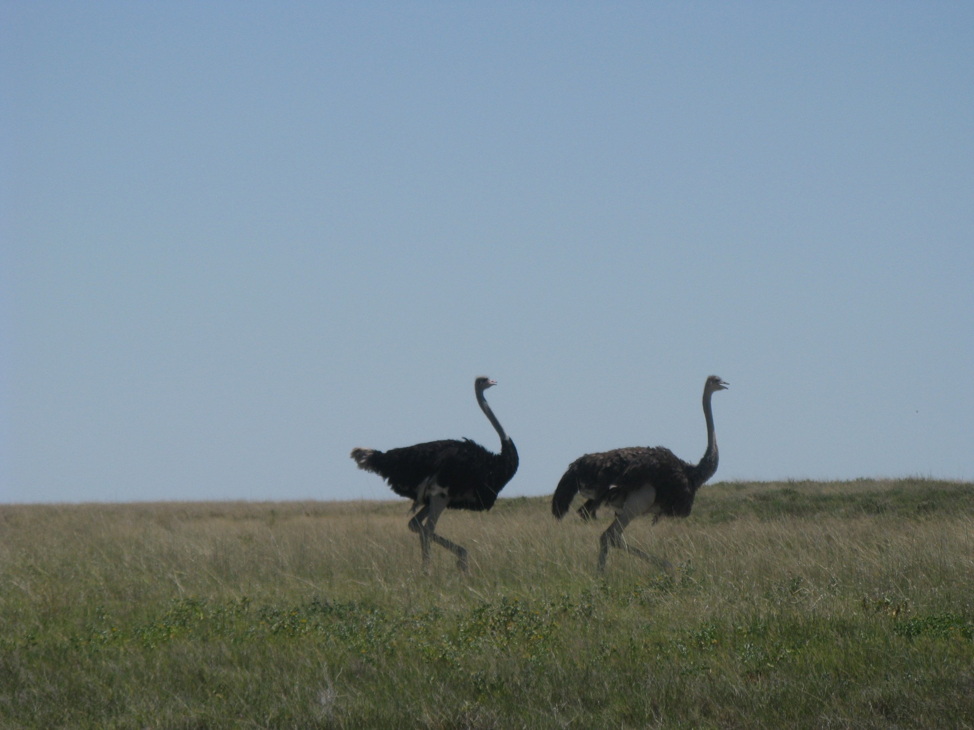 Namibia