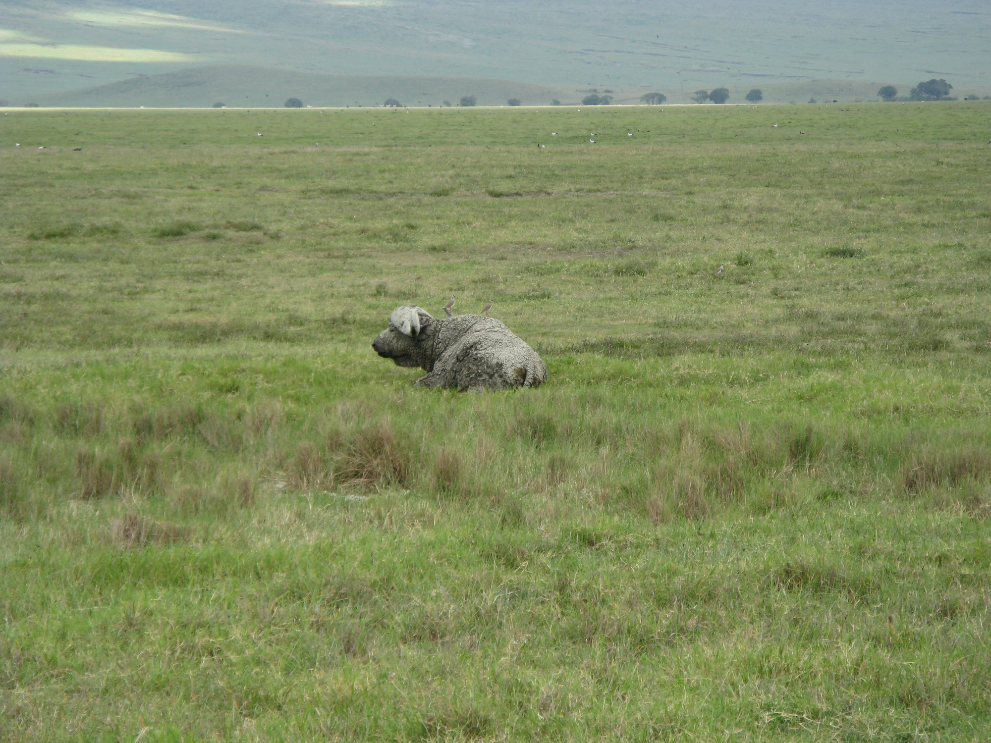 Tanzania