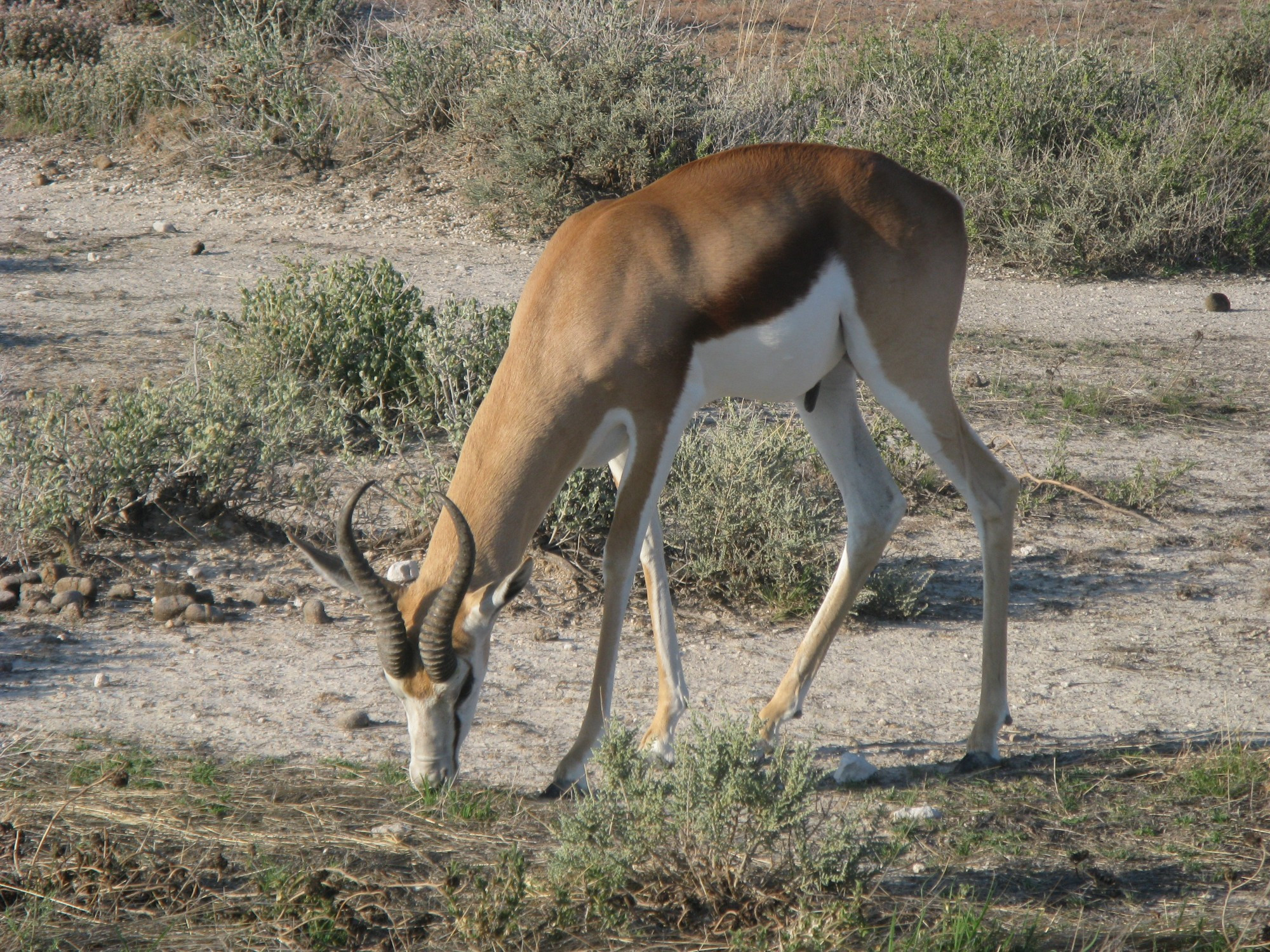 Namibia