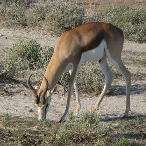 Namibia