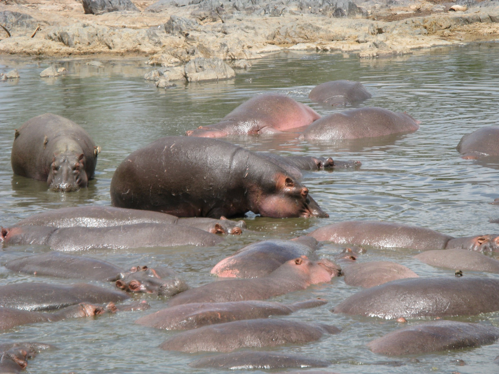 Tanzania