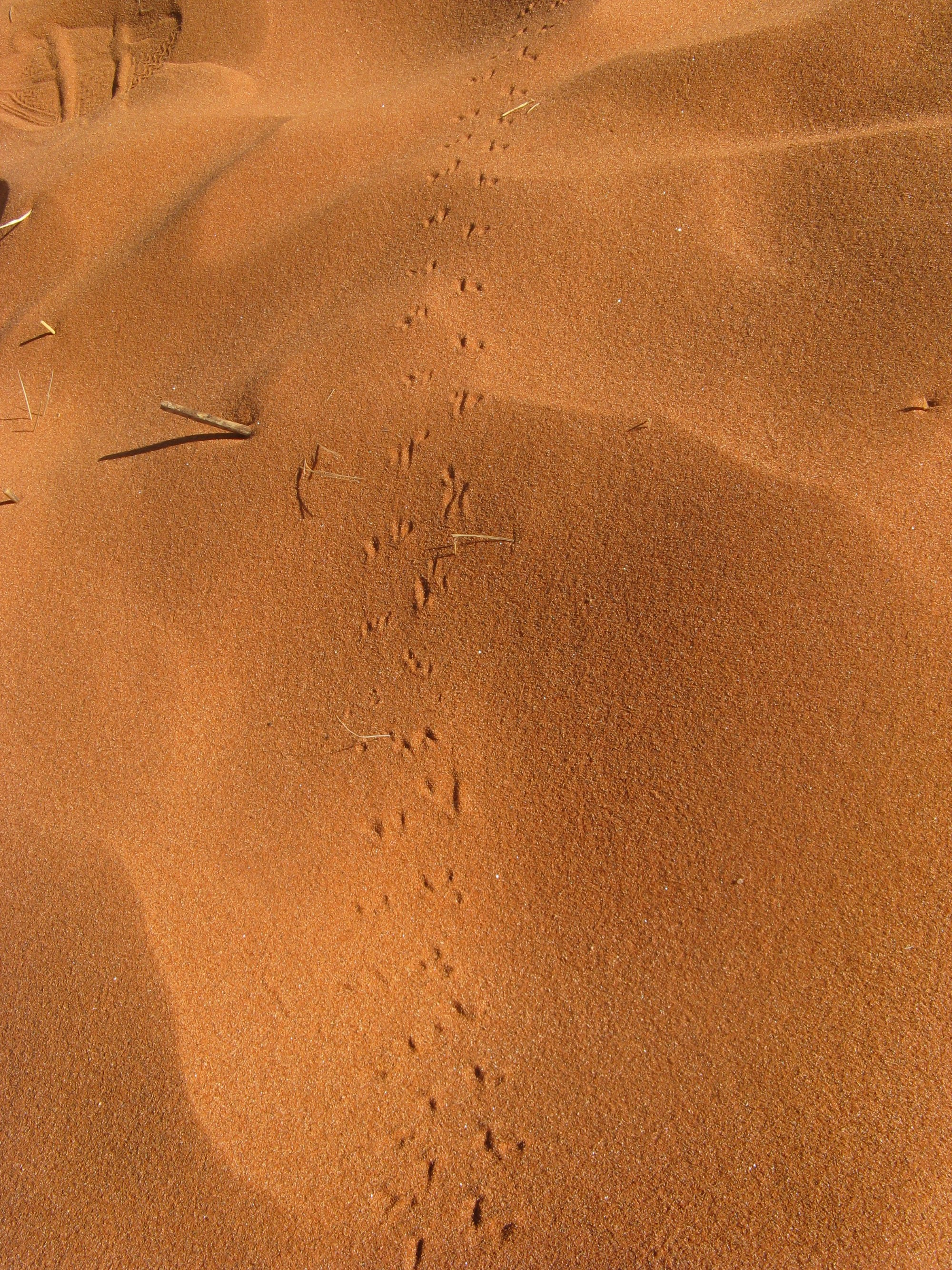 Namibia