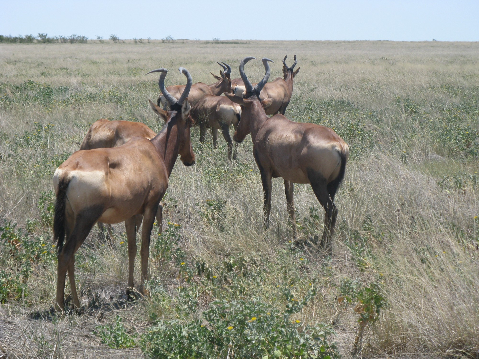 Namibia