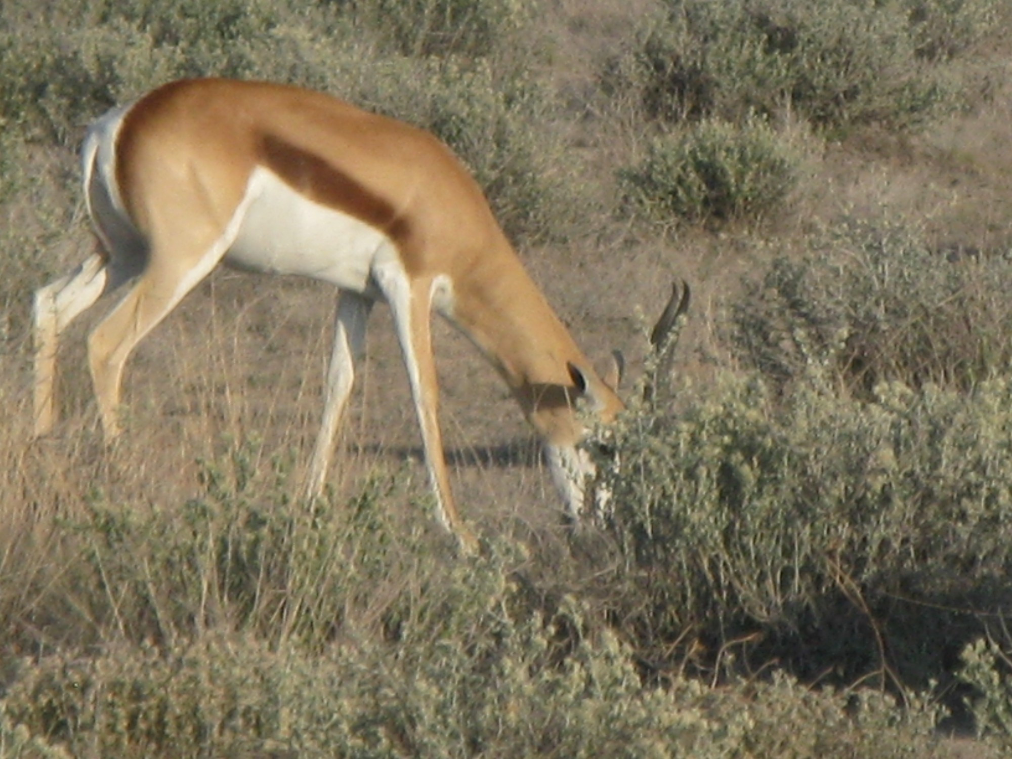 Namibia