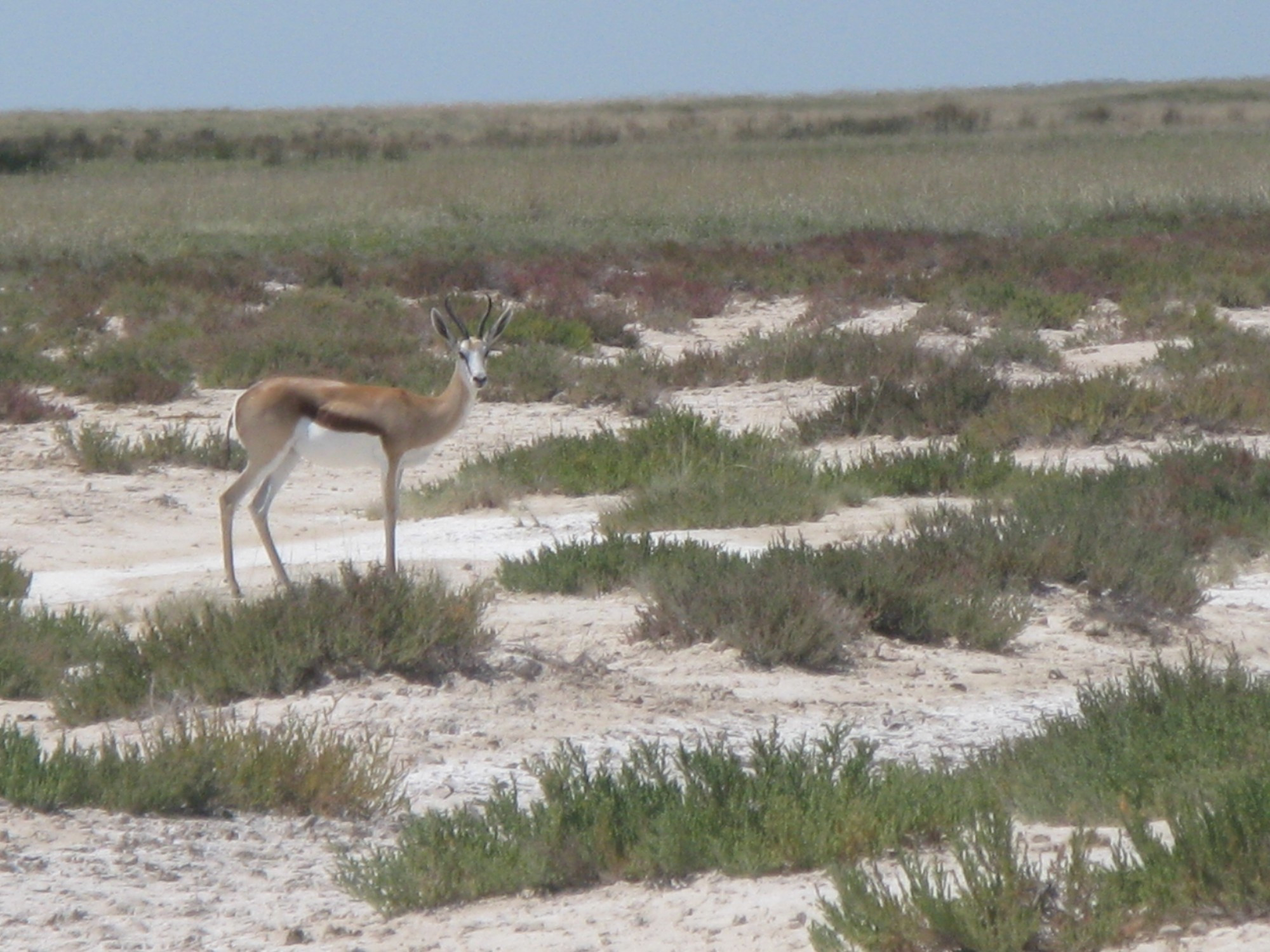 Namibia