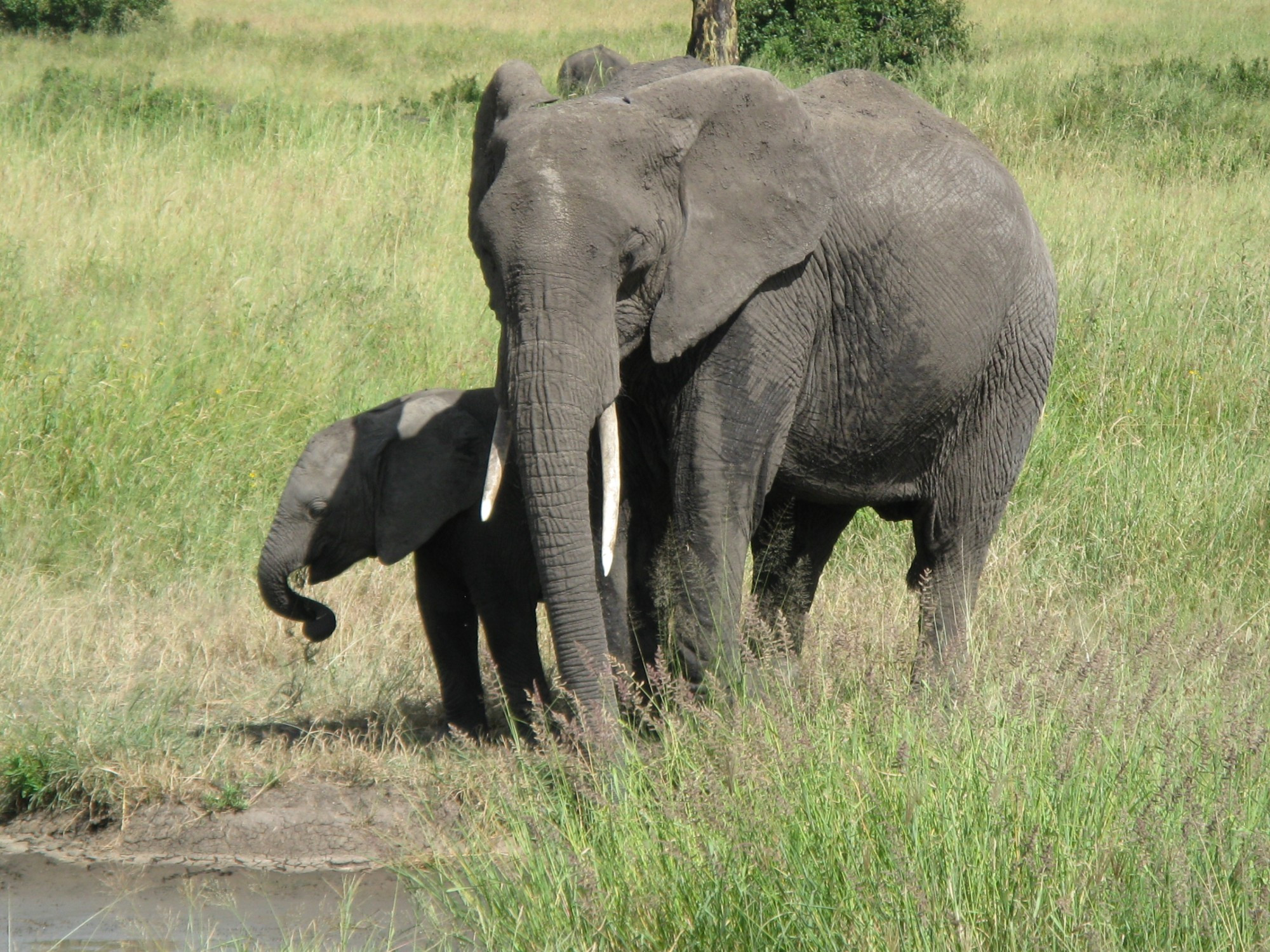 Tanzania