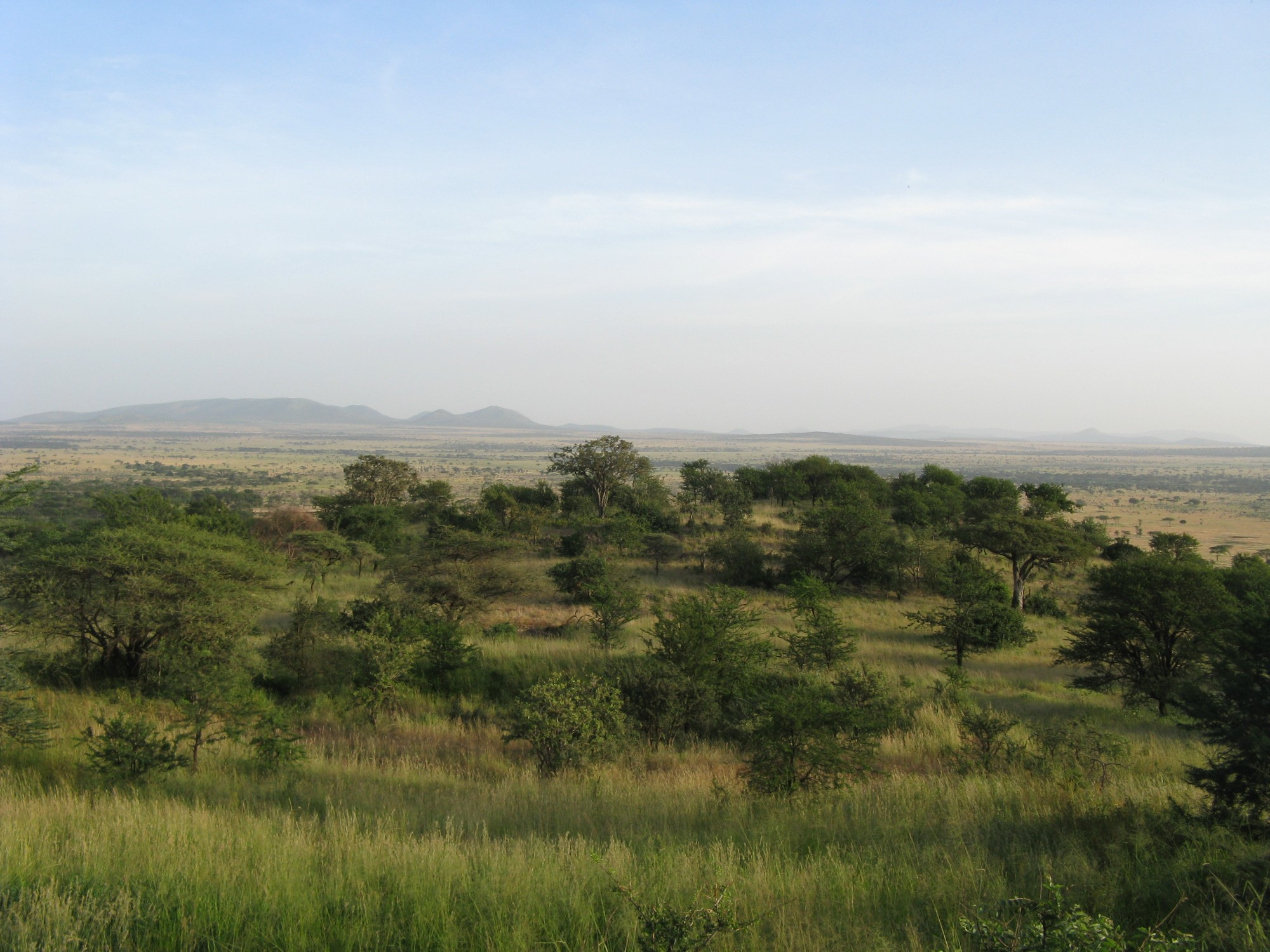 Tanzania