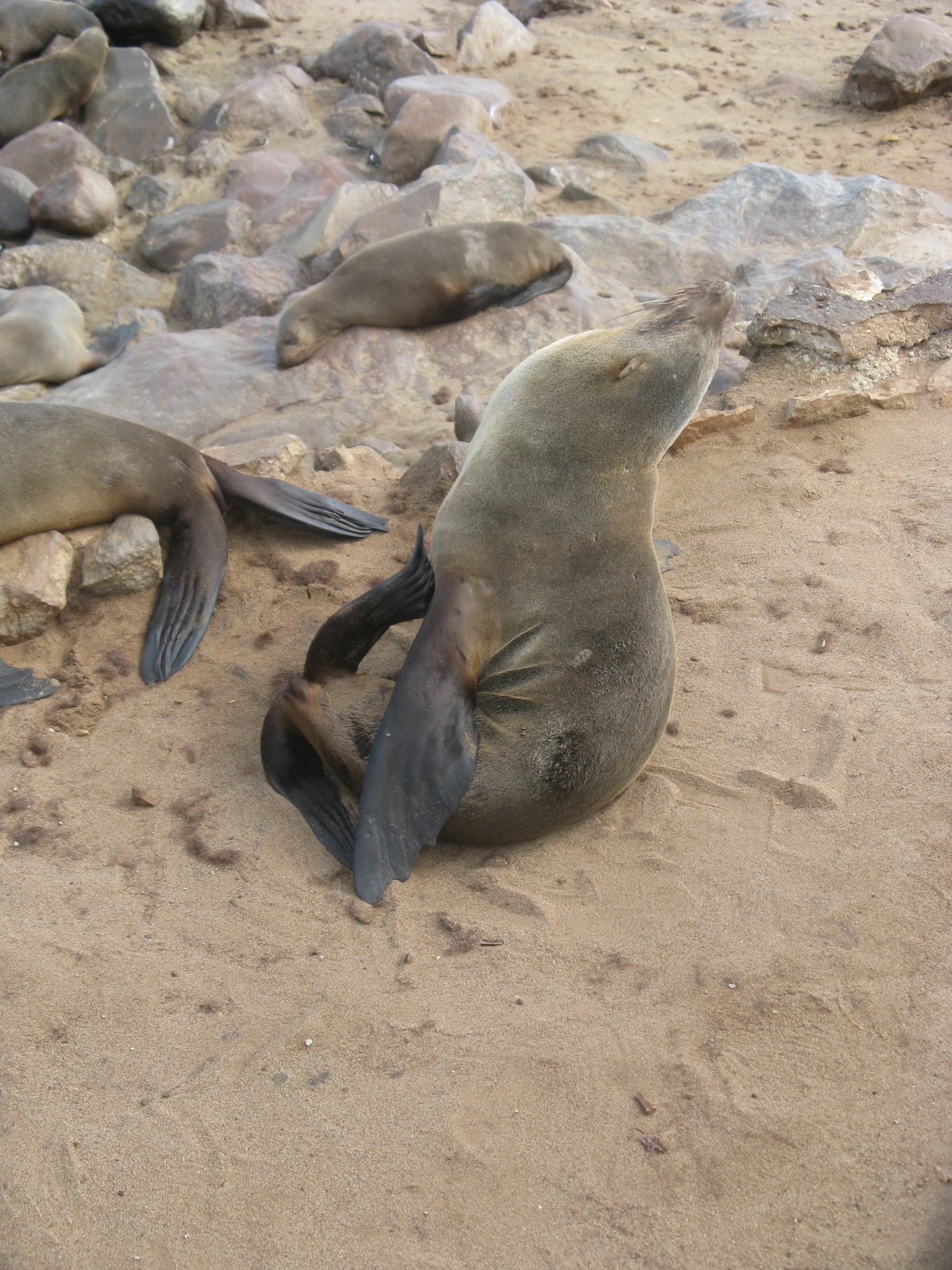 Namibia