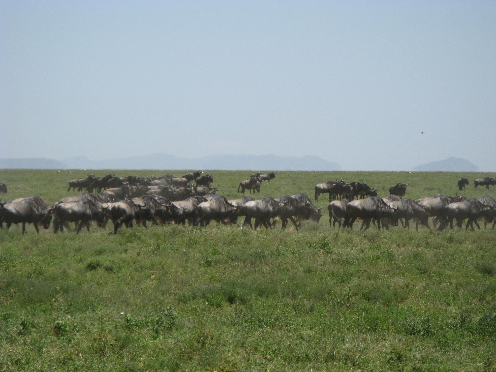 Tanzania