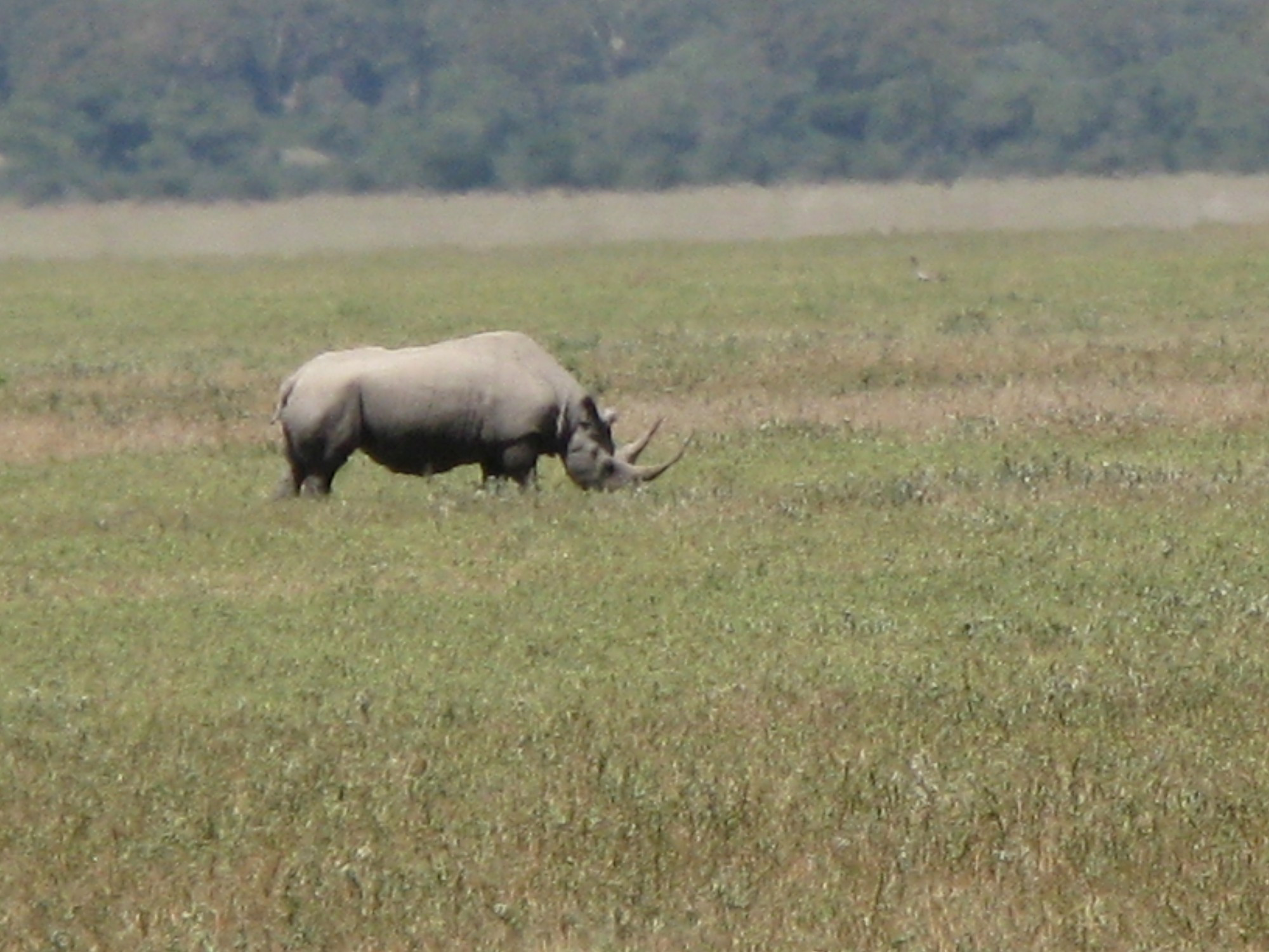 Tanzania