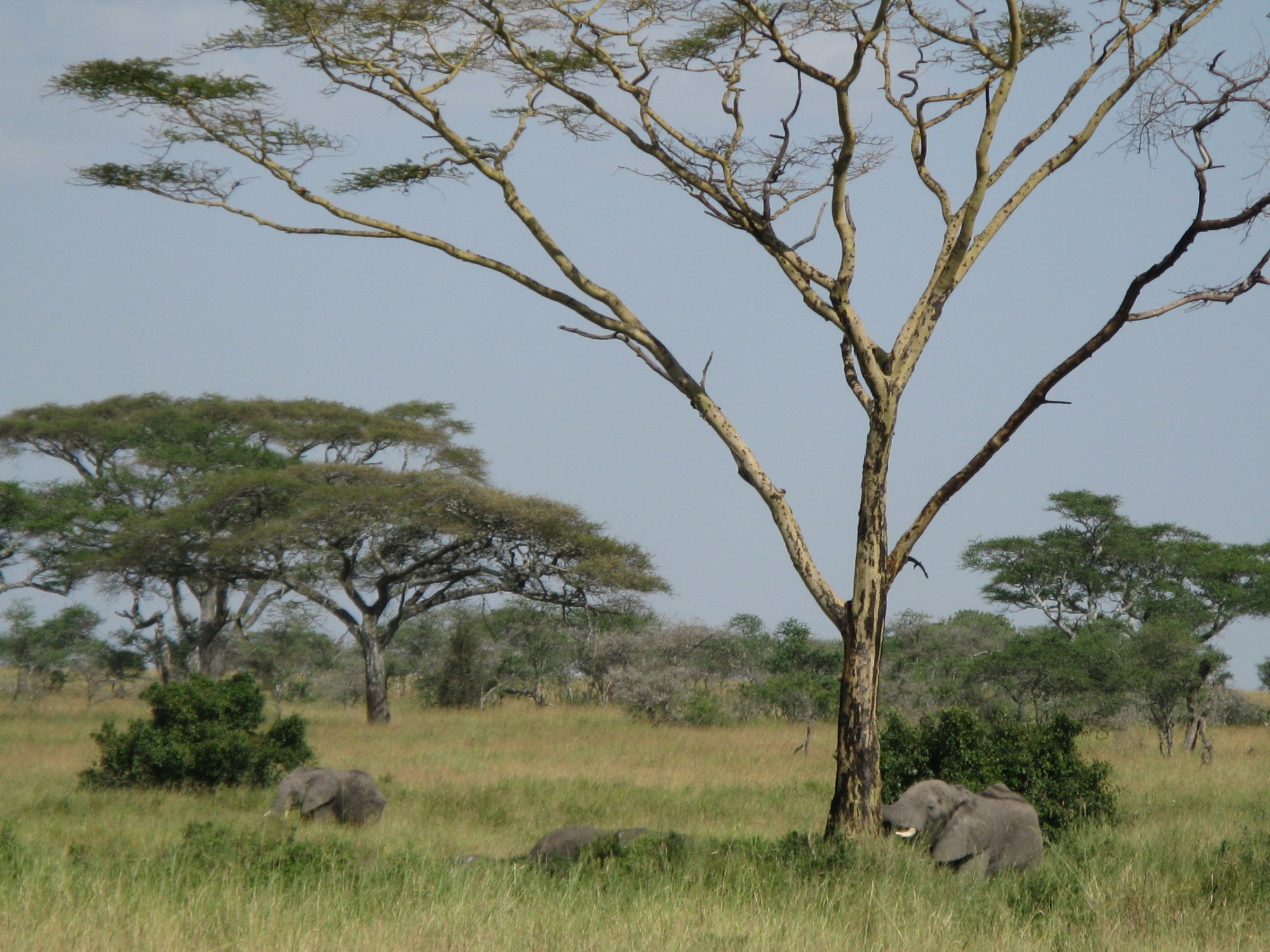 Tanzania