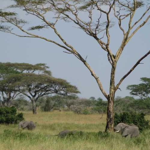 Tanzania