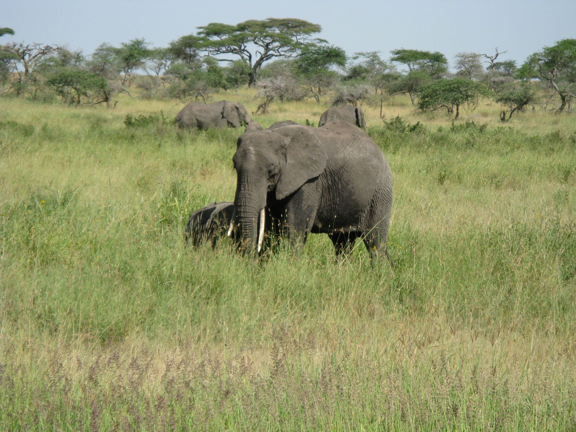 Tanzania