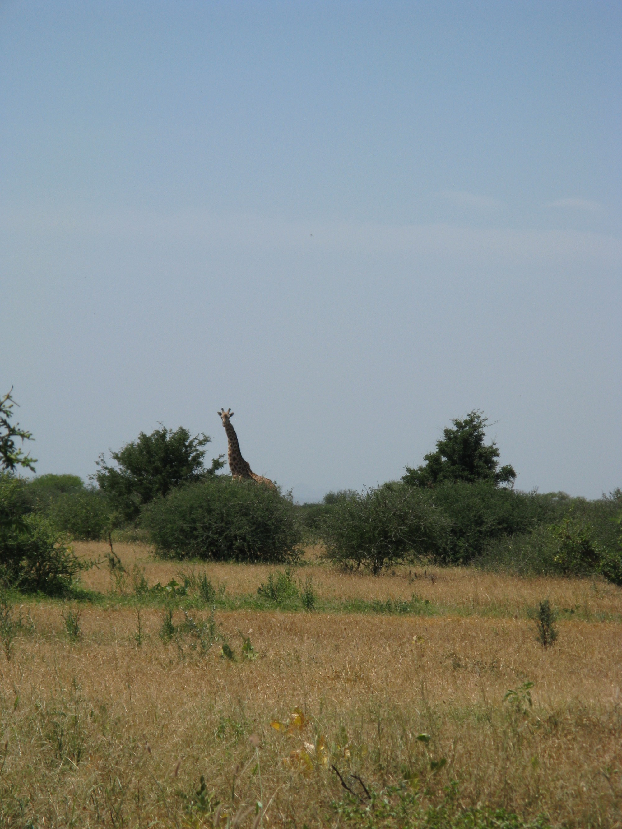 Tanzania