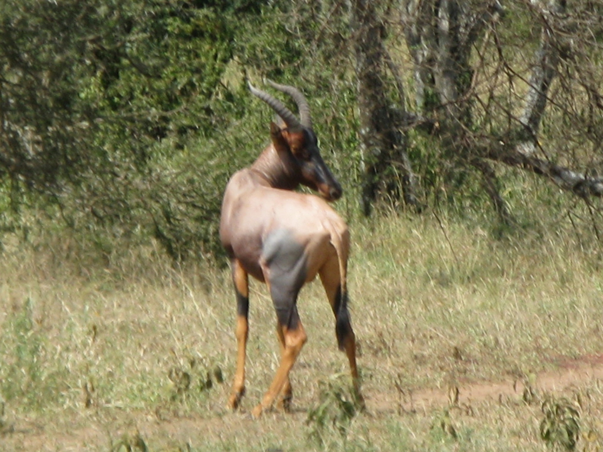 Tanzania