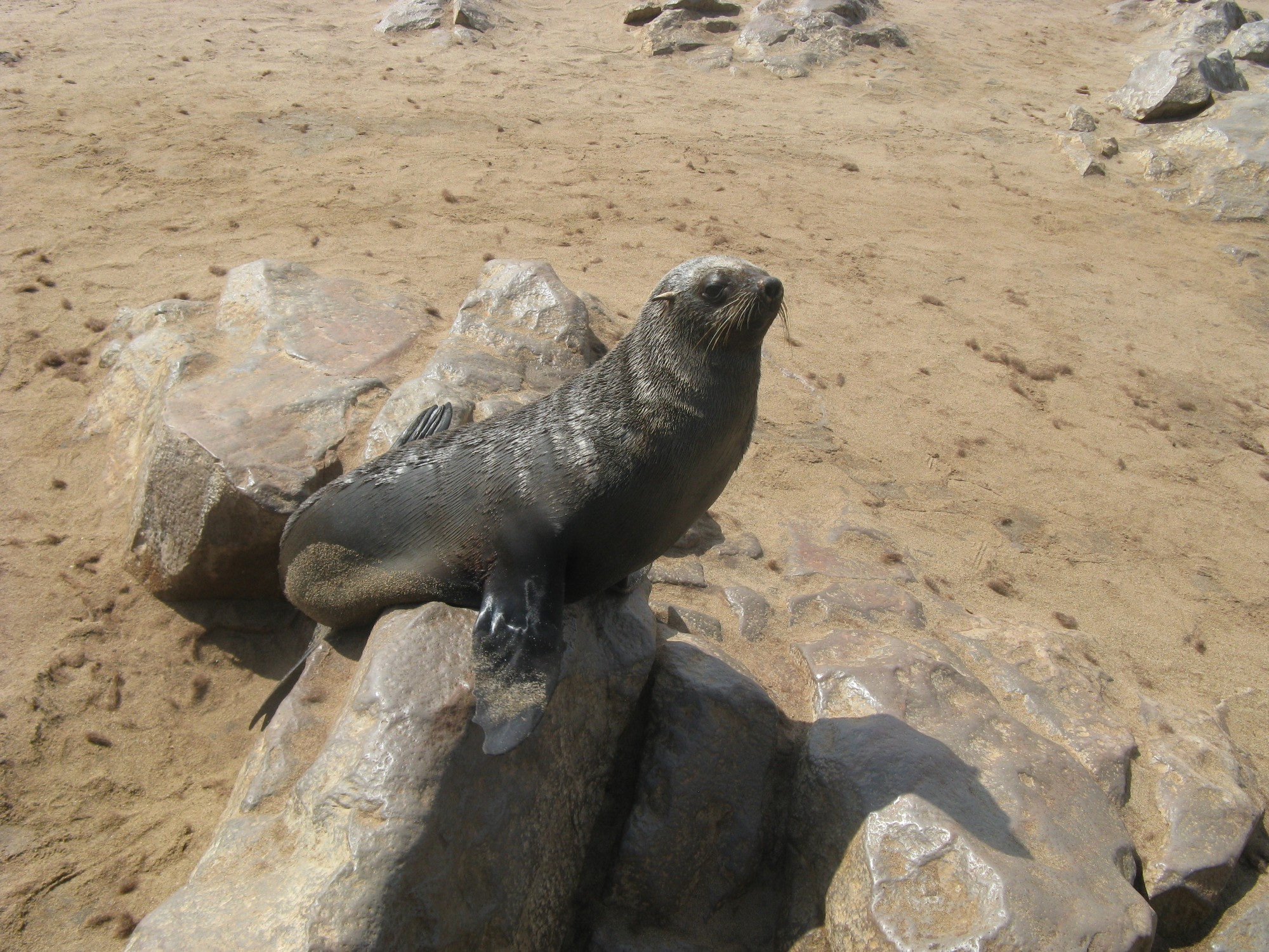 Namibia