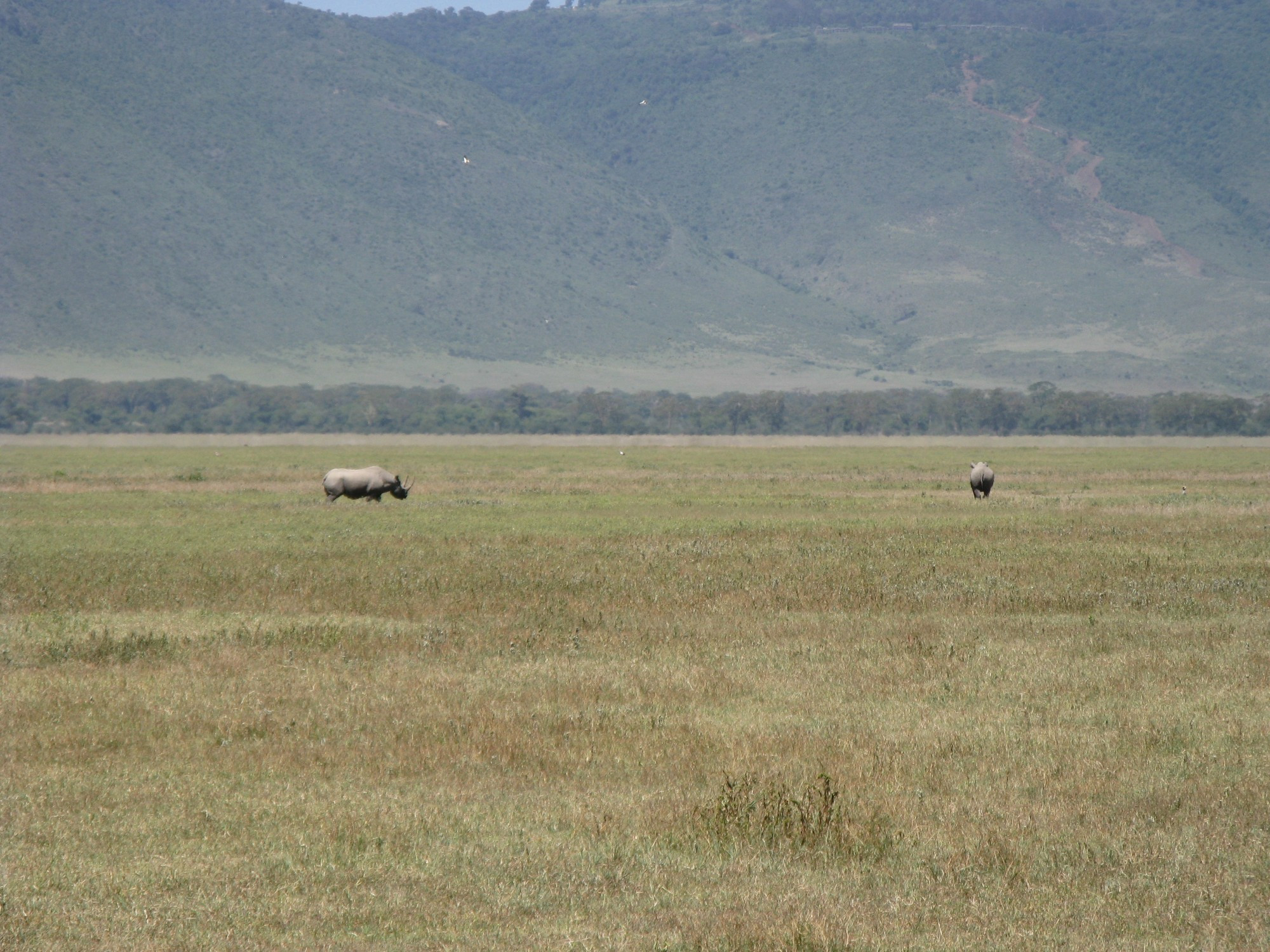 Tanzania