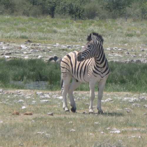 Namibia