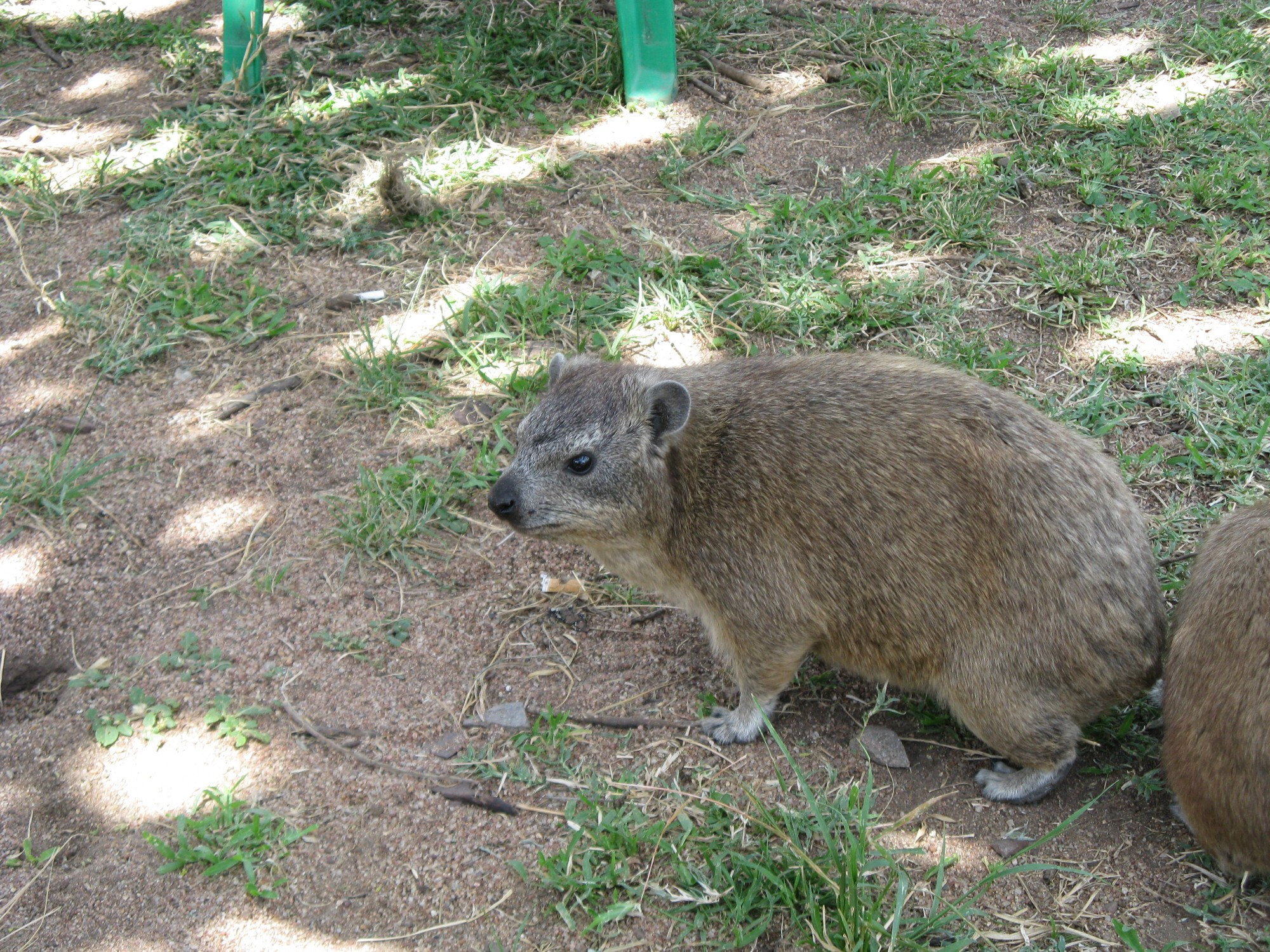 Tanzania