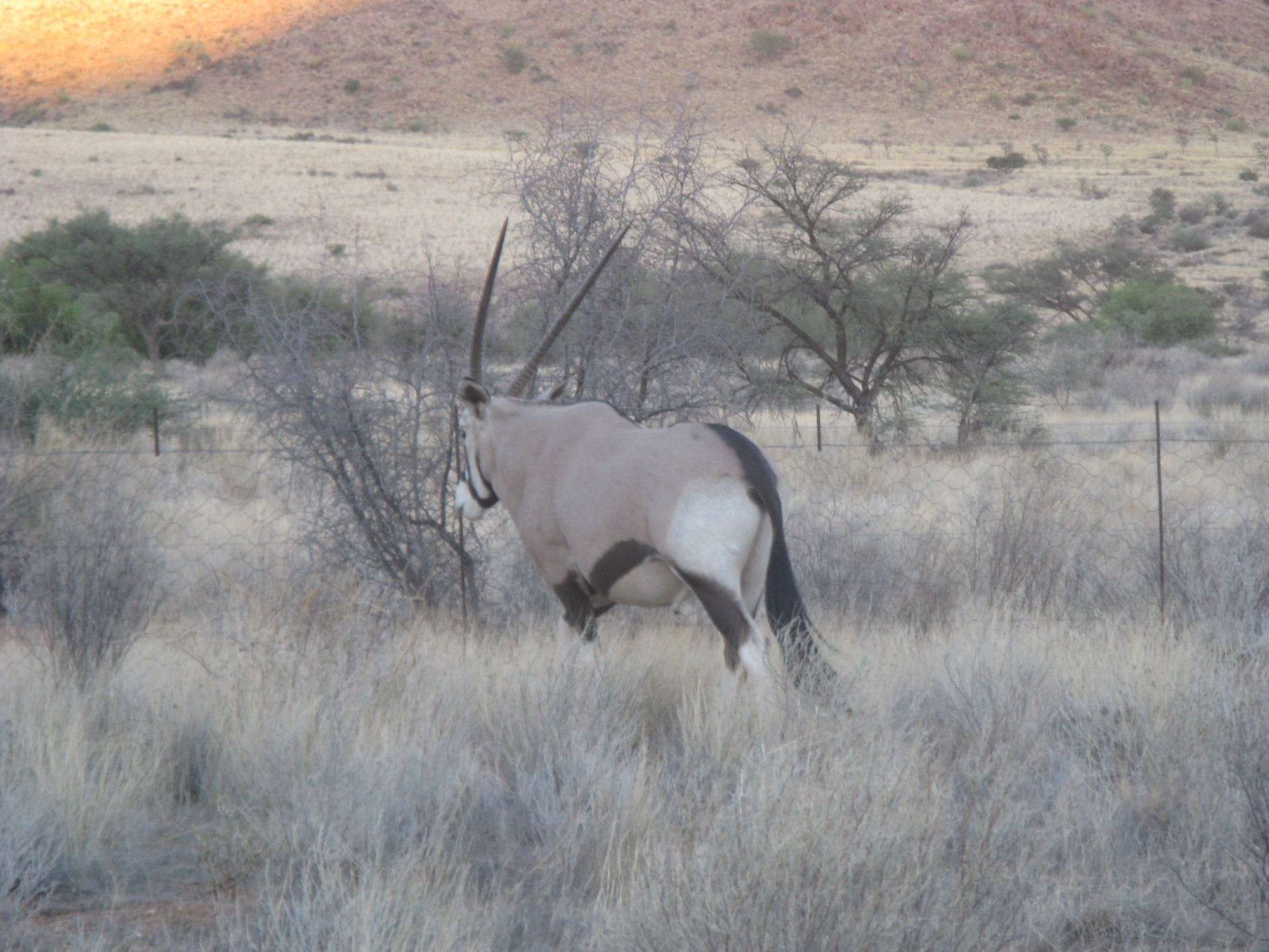 Namibia