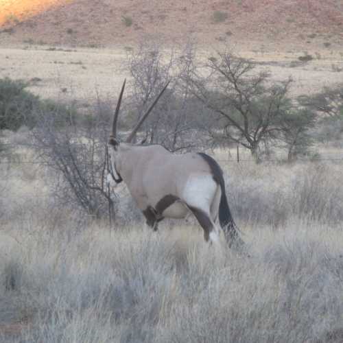 Namibia