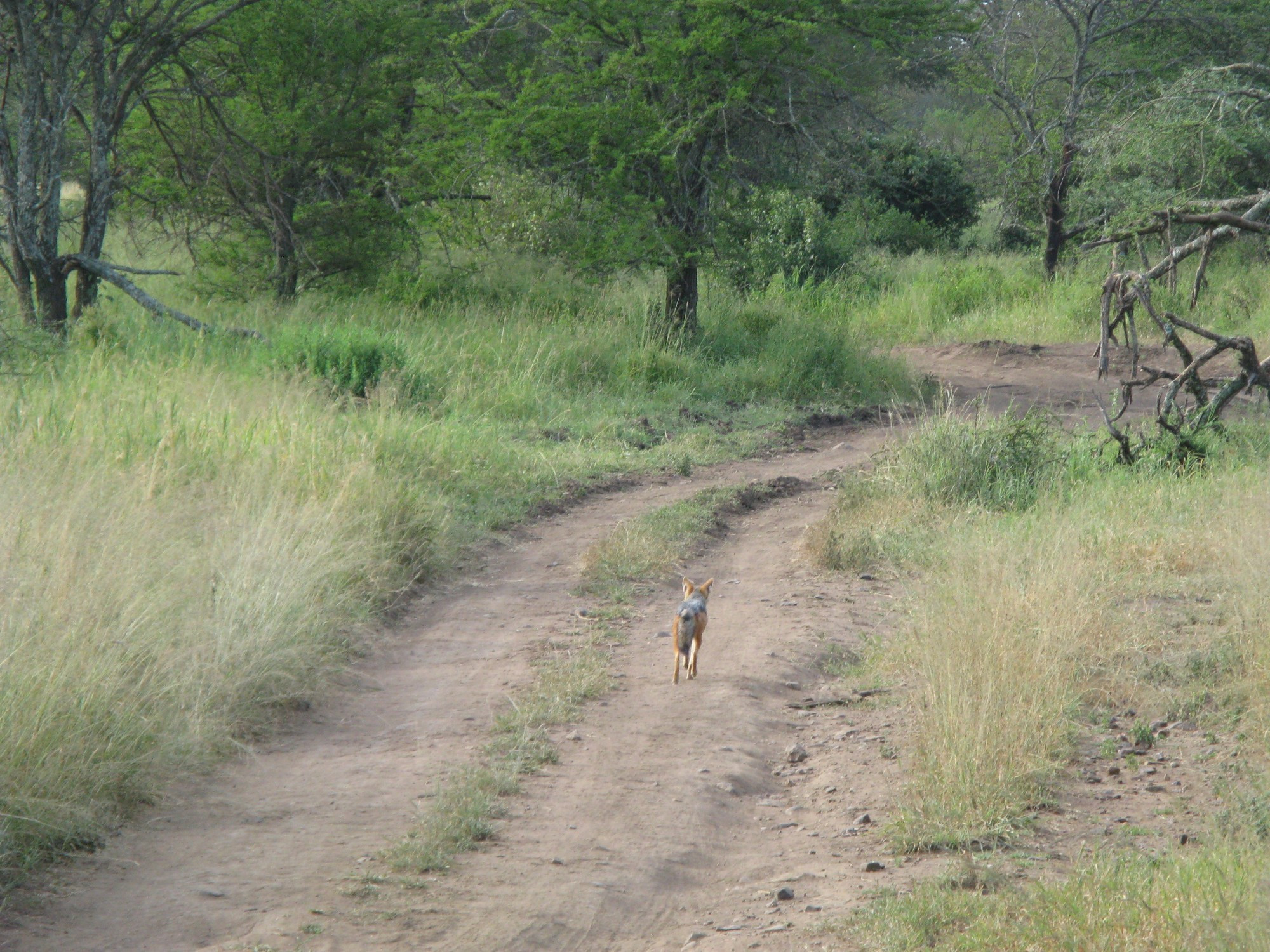 Tanzania