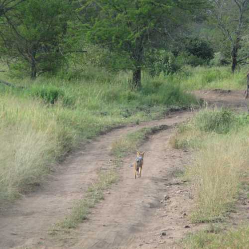 Tanzania