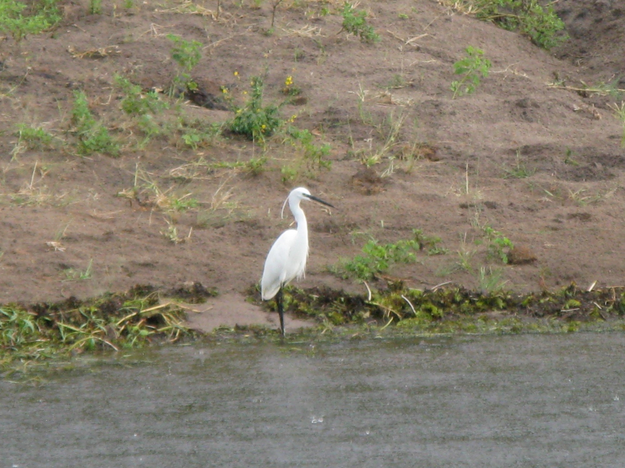 Botswana