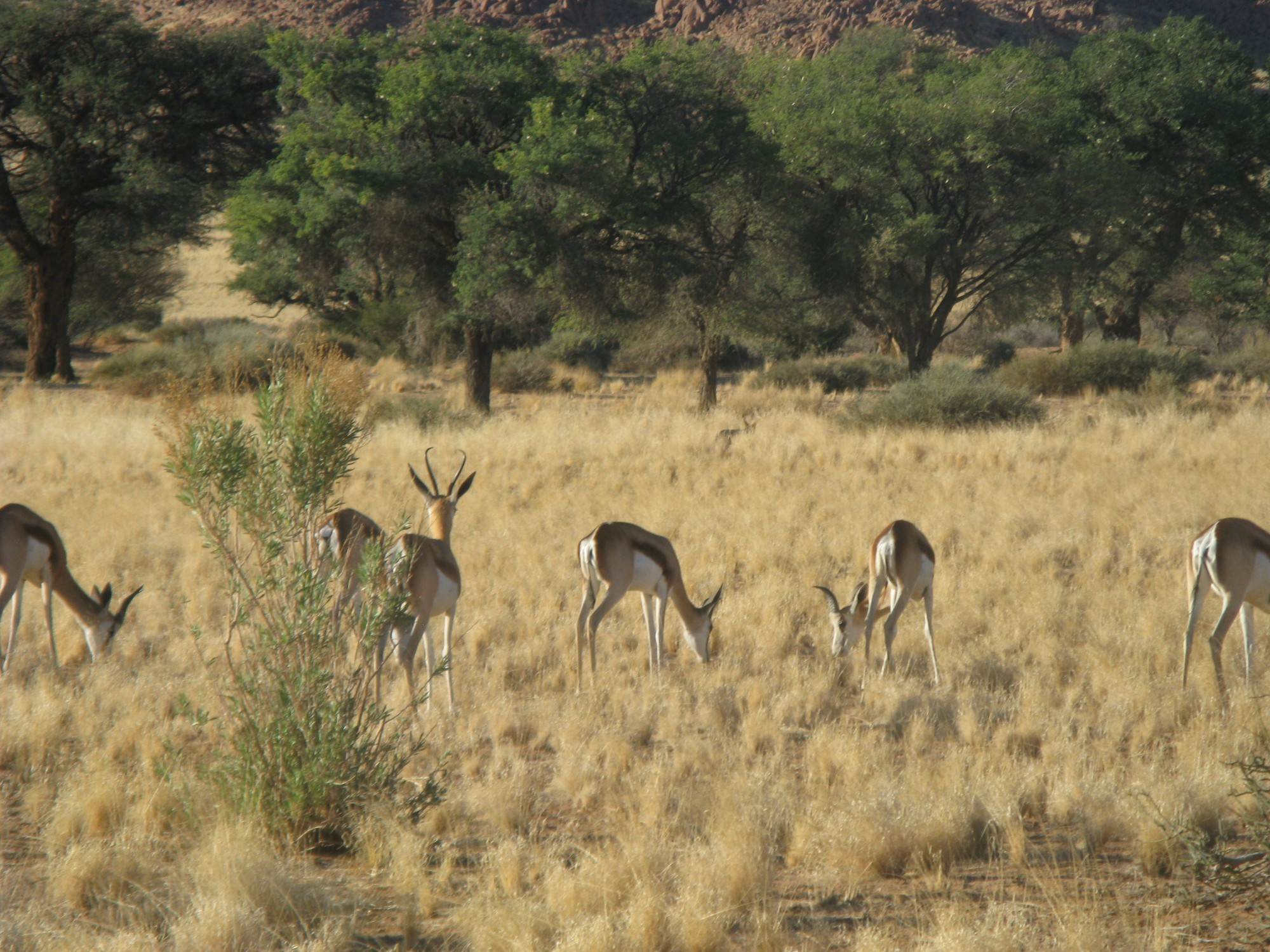 Namibia