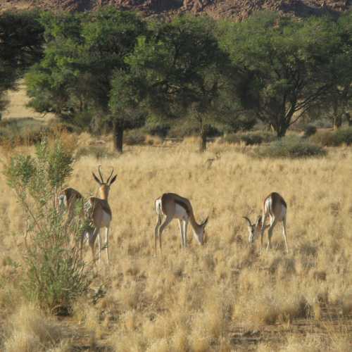 Namibia