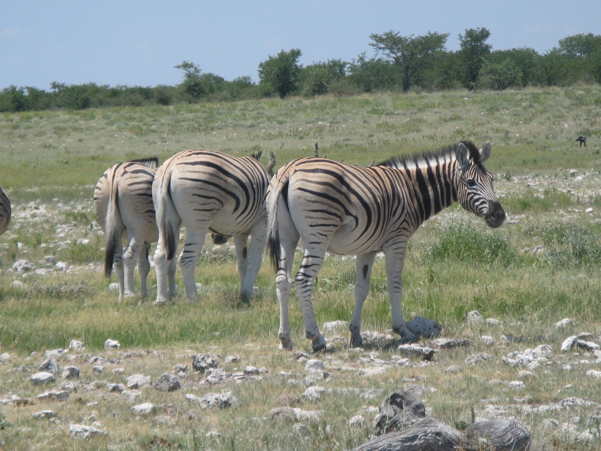 Namibia