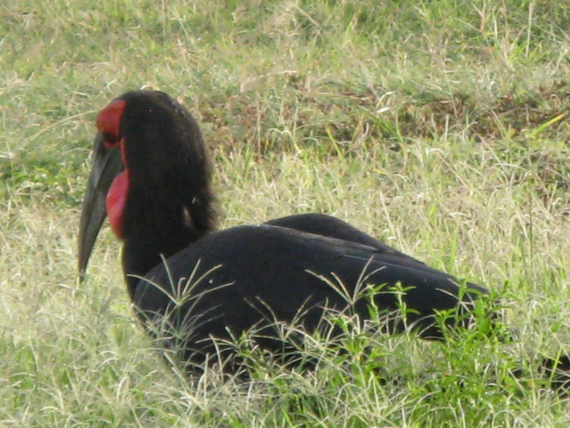 Tanzania