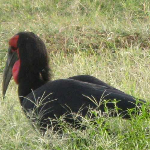 Tanzania