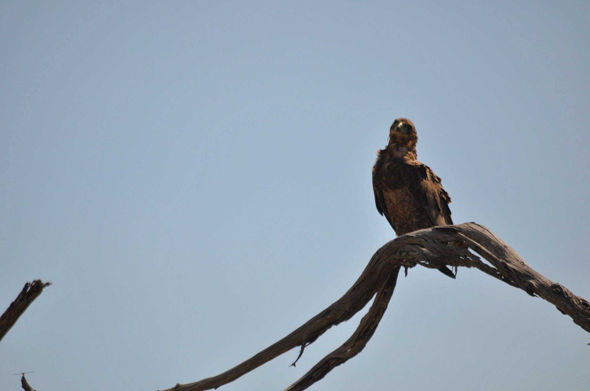 Namibia