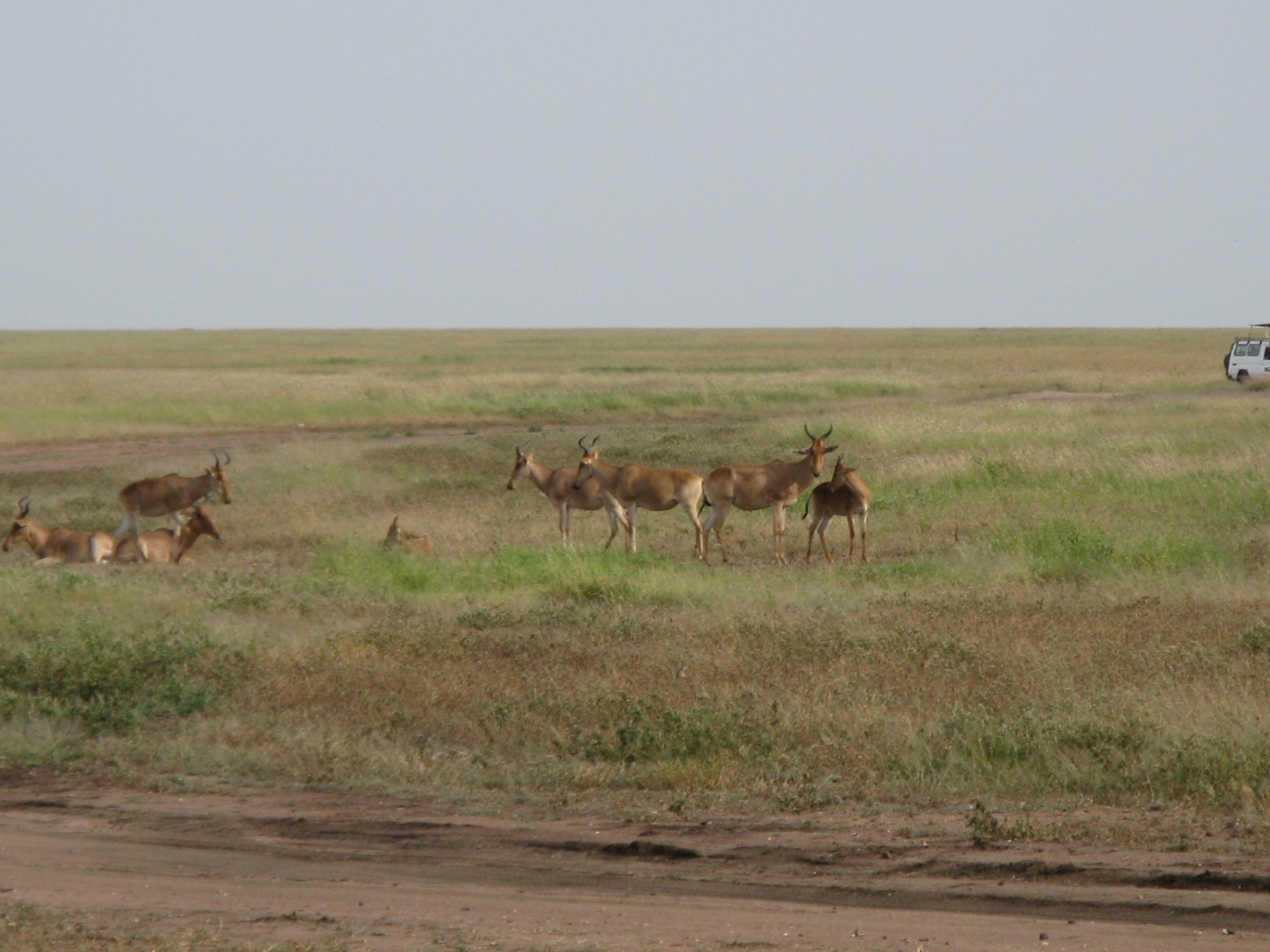 Tanzania