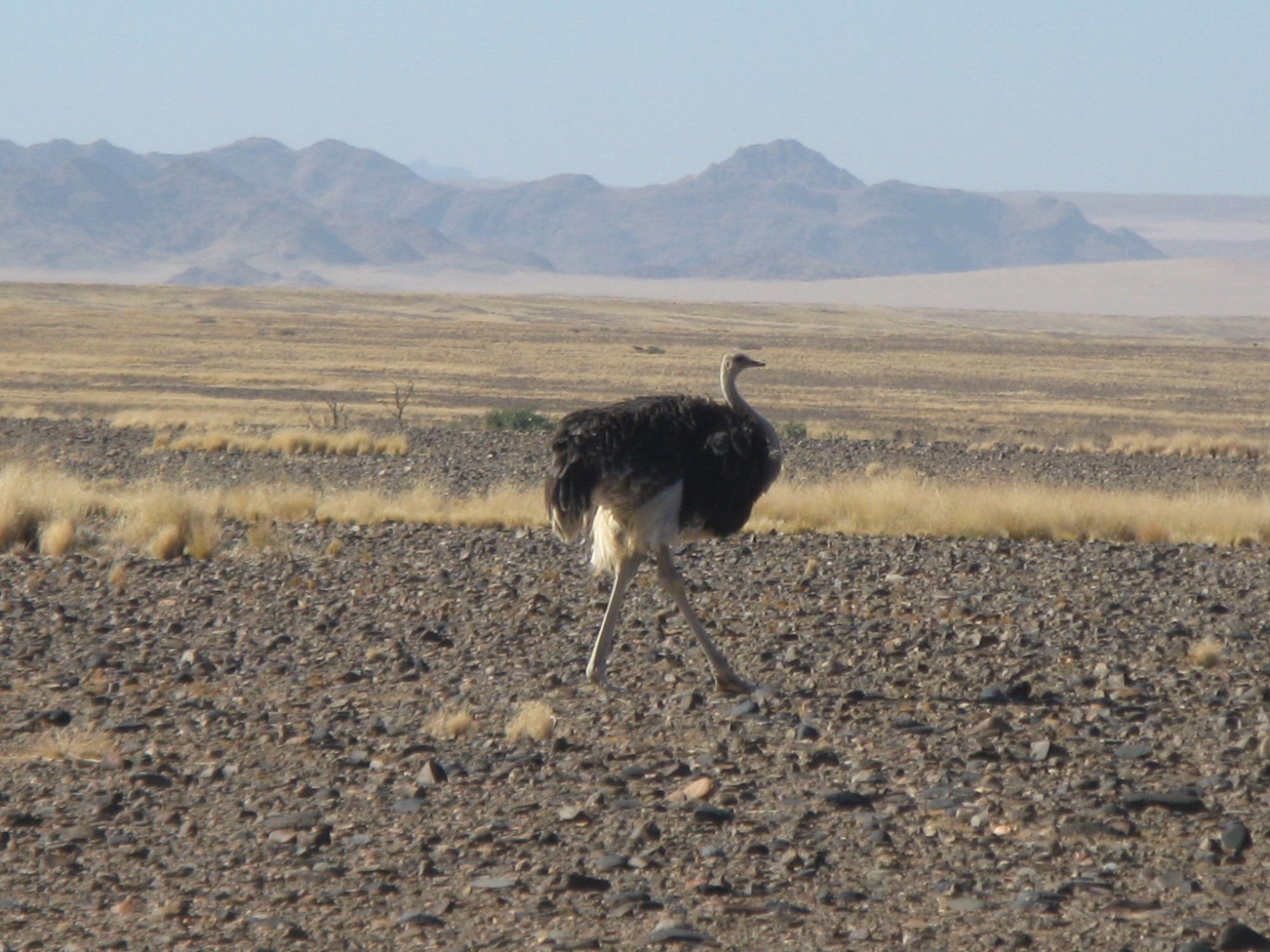 Namibia