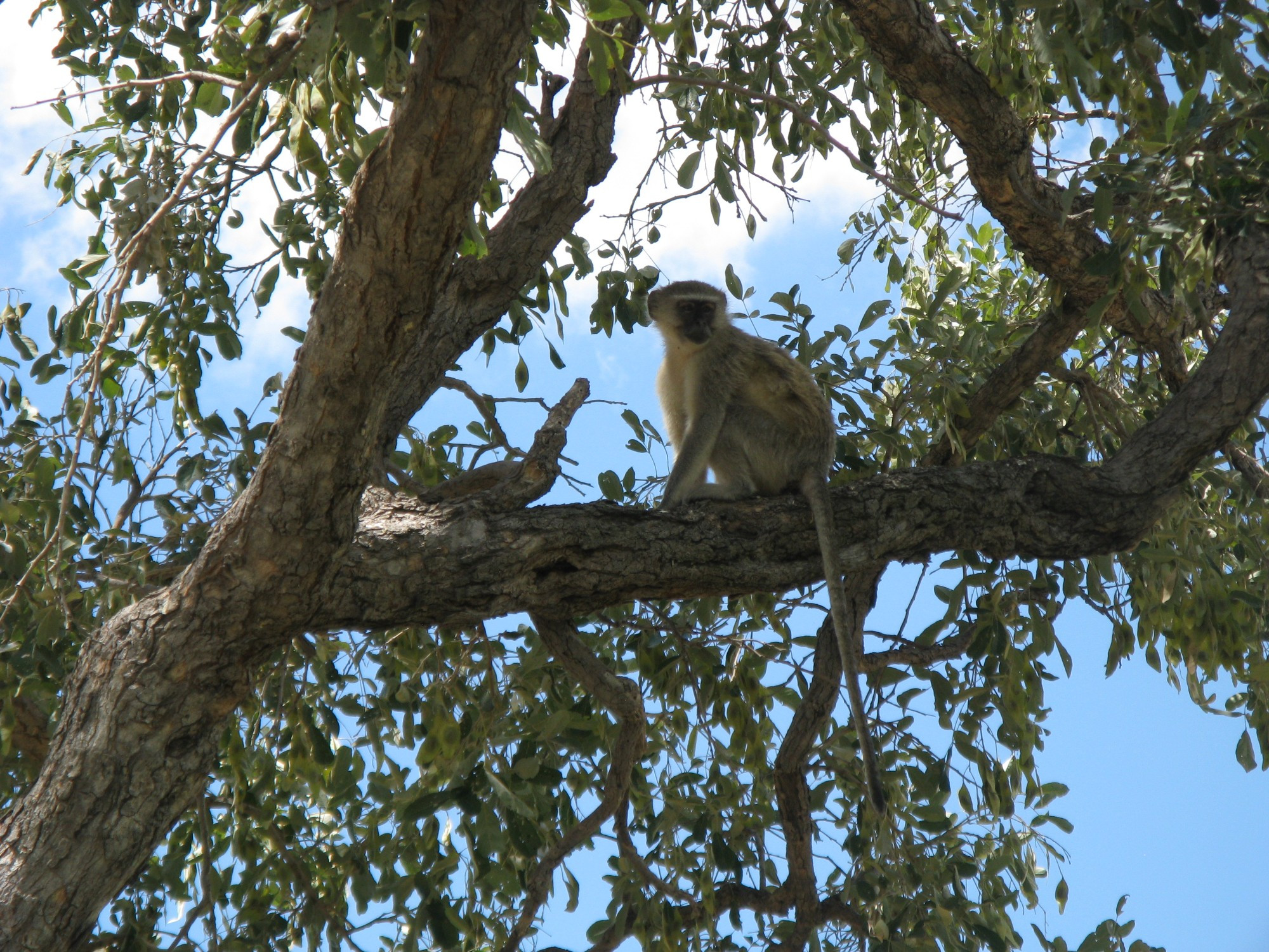 Botswana