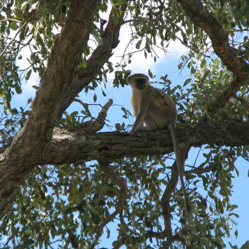 Botswana